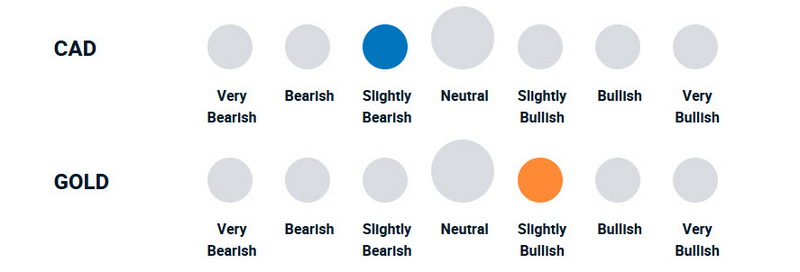 A diagram illustrating how bullish or bearish the portfolio management team is towards currencies and gold.