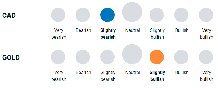 diagram illustrating how bullish or bearish the team is on the their implementation style