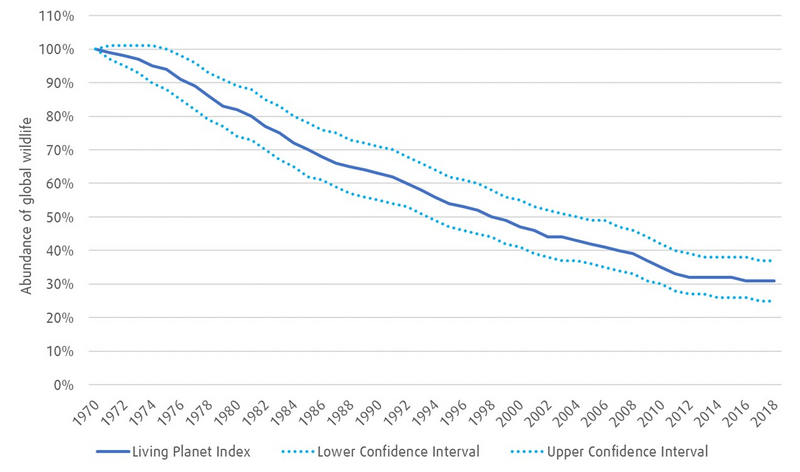 Line chart illustrating the decline in species populations