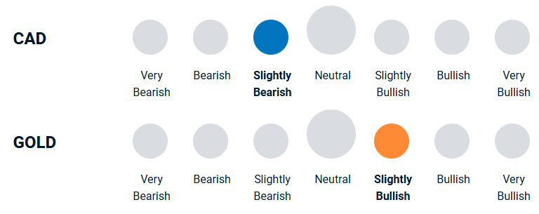 A diagram illustrating how bullish or bearish the portfolio management team is towards currencies and gold.