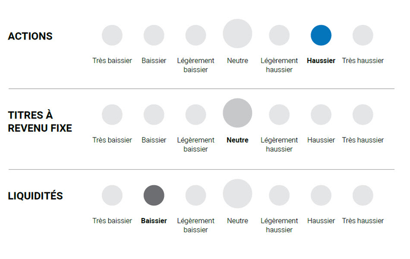 Graphique : actions / titres à revenu fixe / liquidités