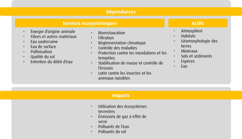 Graphique illustrant les impacts et les dépendances de l’industrie des produits forestiers 