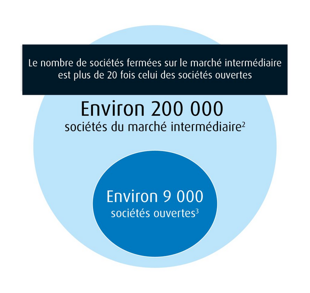 Diagramme illustrant qu’il y a 20 fois plus d’entreprises privées de marché intermédiaire que d’entreprises publiques