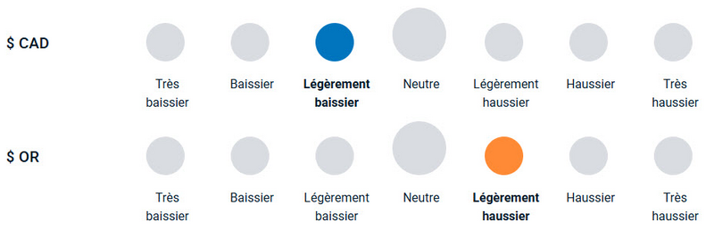 Un diagramme illustrant la position haussière ou baissière de l’équipe de gestion de portefeuille vis-à-vis des devises et de l’or.