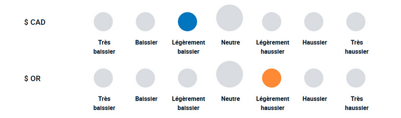 Un diagramme illustrant la position haussière ou baissière de l’équipe de gestion de portefeuille vis-à-vis des devises et de l’or.