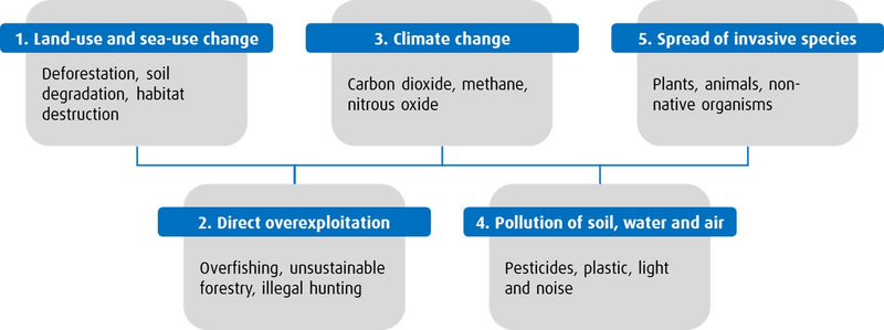 chart illustrating the five Major Pressures on Biodiversity and their Implications for Investors