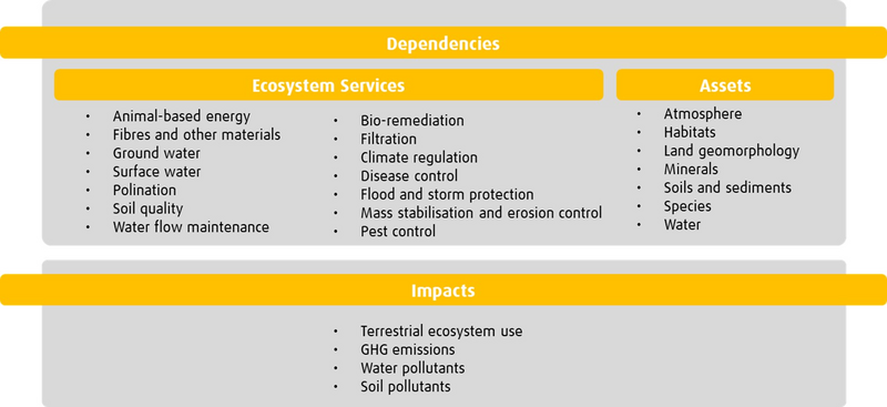 Chart illustrating the Impacts and Dependencies of the Forest Product Industry 