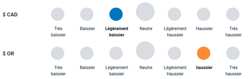 Un diagramme illustrant la position haussière ou baissière de l’équipe de gestion du portefeuille vis-à-vis des devises et de l’or