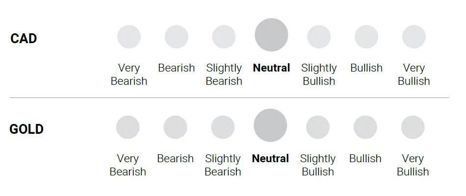 Five lenses weighting graphic - CAD