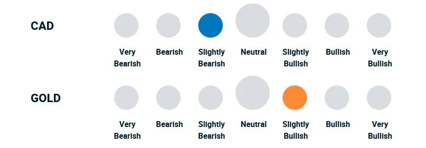 A diagram illustrating how bullish or bearish the portfolio management team is towards currencies and gold.