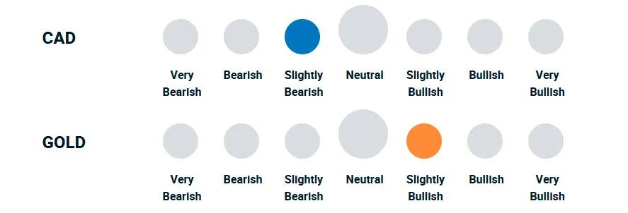 A diagram illustrating how bullish or bearish the portfolio management team is towards currencies and gold.