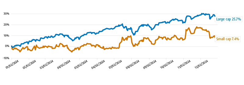 Line graph showing the growth of the U.S. Large Cap and Small Cap equities throughout 2024, with Large Cap up 27.7% and Value up 14.1%.