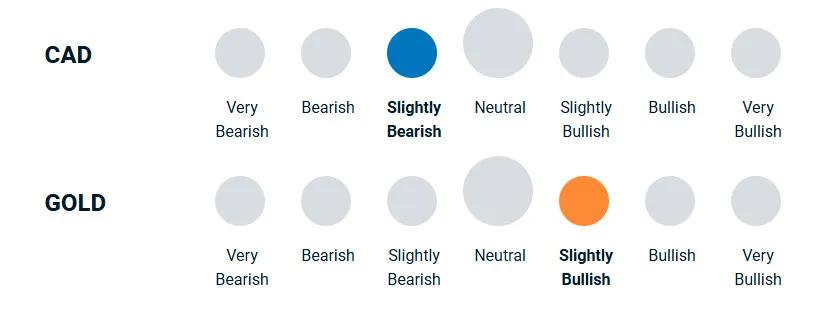 A diagram illustrating how bullish or bearish the portfolio management team is towards currencies and gold