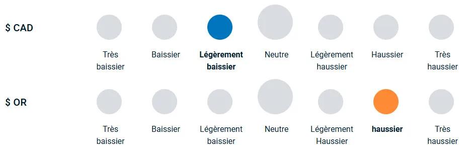 Un diagramme illustrant la position haussière ou baissière de l’équipe de gestion du portefeuille vis-à-vis des devises et de l’or