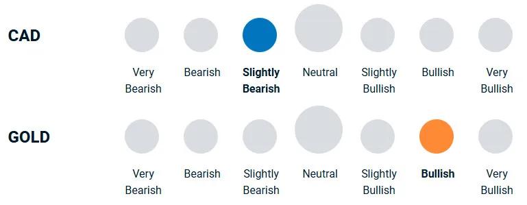 A diagram illustrating how bullish or bearish the portfolio management team is towards currency and gold