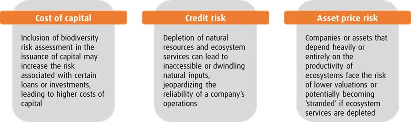 image illustrating the three major biodiversity risks: credit risk, cost of capital, and asset pricing.