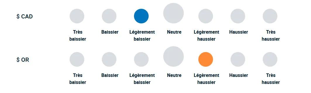 Un diagramme illustrant la position haussière ou baissière de l’équipe de gestion de portefeuille vis-à-vis des devises et de l’or.