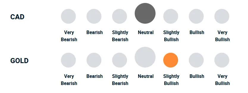 A diagram illustrating how bullish or bearish the portfolio management team is towards currencies and gold.