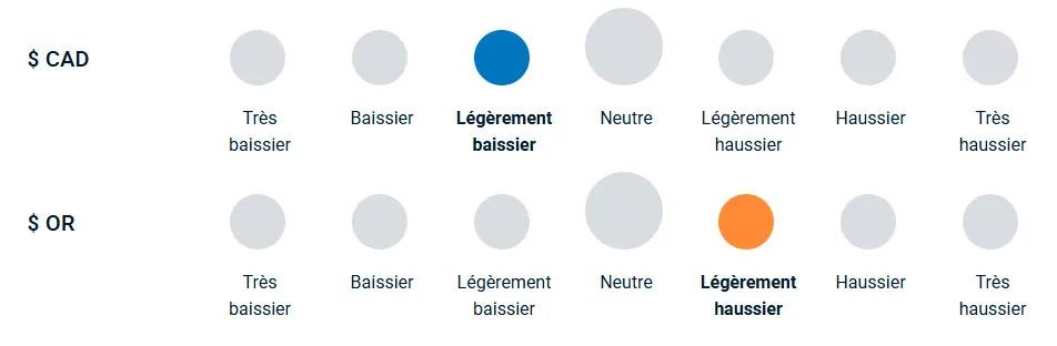 Un diagramme illustrant la position haussière ou baissière de l’équipe de gestion du portefeuille vis-à-vis des devises et de l’or