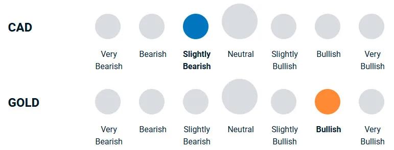 A diagram illustrating how bullish or bearish the portfolio management team is towards currencies and gold