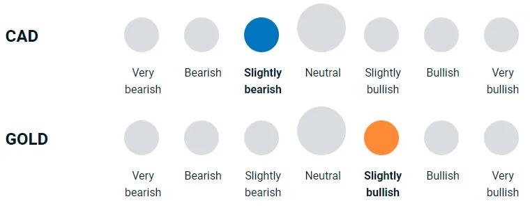 diagram illustrating how bullish or bearish the team is on gold and currencies