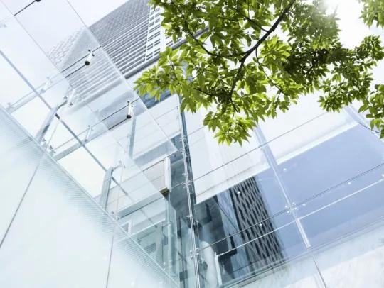 Exterior of a glass office building with a green tree in front