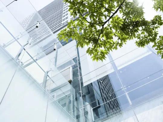 Bâtiment moderne en verre avec un arbre vert au premier plan