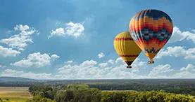 Ballons volant au-dessus d’un champ