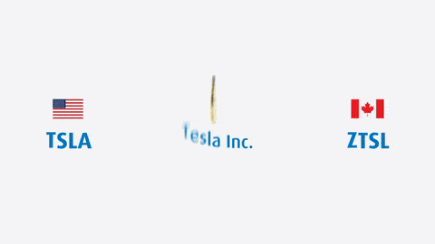 Canadian Depositary Receipts CDR | CDR Directory | Spinning loonie | Image