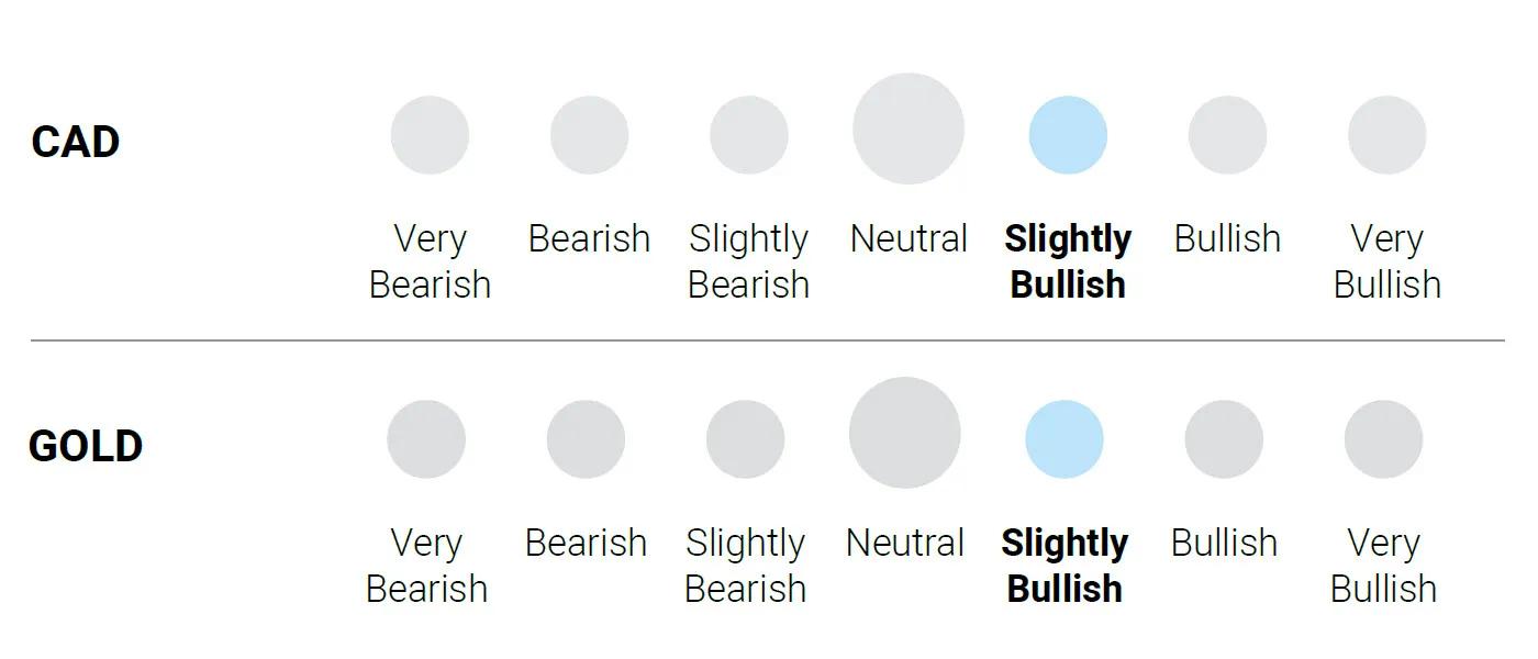 Five lenses weighting graphic - CAD