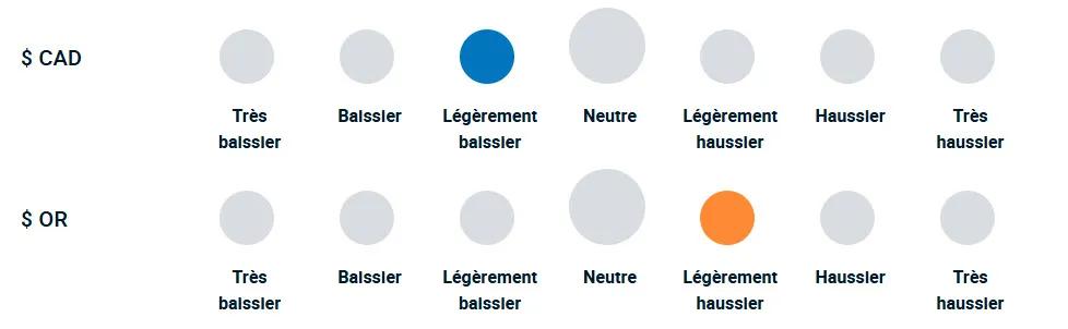 Un diagramme illustrant la position haussière ou baissière de l’équipe de gestion de portefeuille vis-à-vis des différentes devises et de l’or.