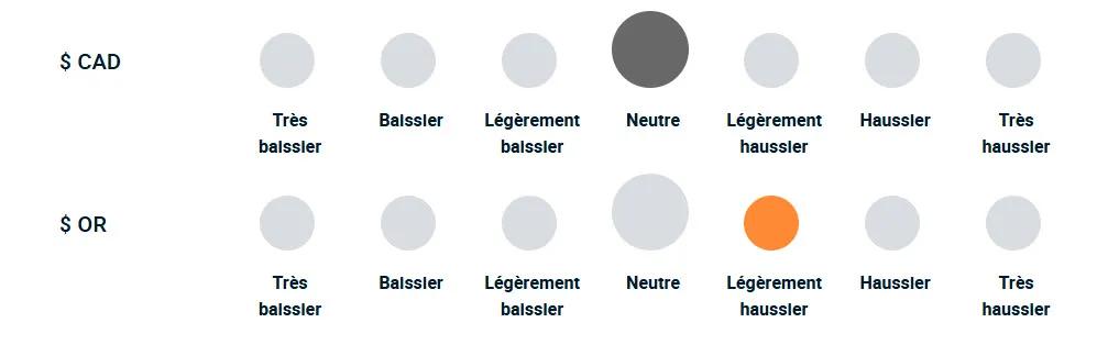 Un diagramme illustrant la position haussière ou baissière de l’équipe de gestion de portefeuille vis-à-vis des devises et de l’or.